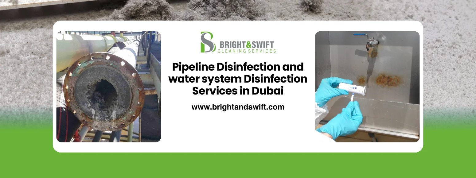 Pipeline Disinfection and water system Disinfection Services Dubai